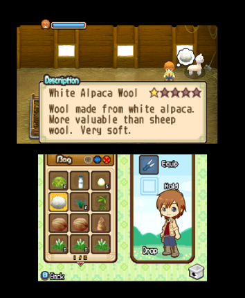 Harvest Moon: The Tale of Two Towns Image
