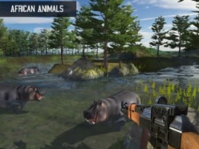 Wild West Jungle Animal Hunt Image