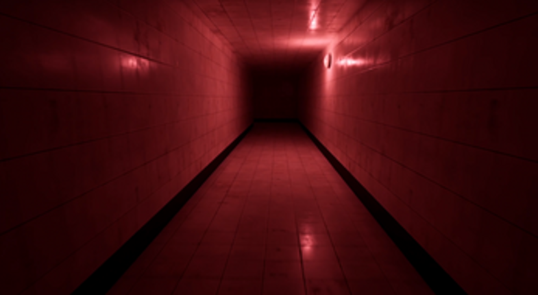 Have You Seen This Dog? screenshot