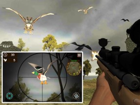 Island Bird Hunting: Shooter Survival Image