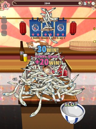 Jako Collection Image