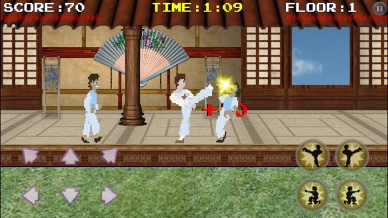 Karate Fighter screenshot