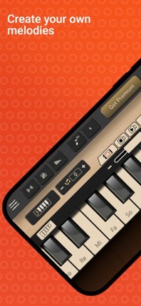 Professional Xylophone Image