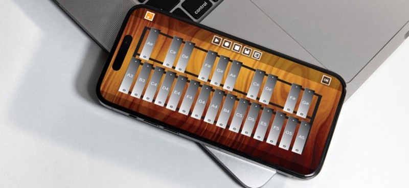 Professional Xylophone screenshot