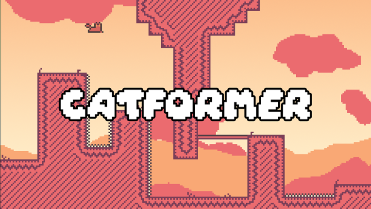 Catformer Image