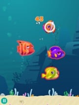 Fish Hunter Image