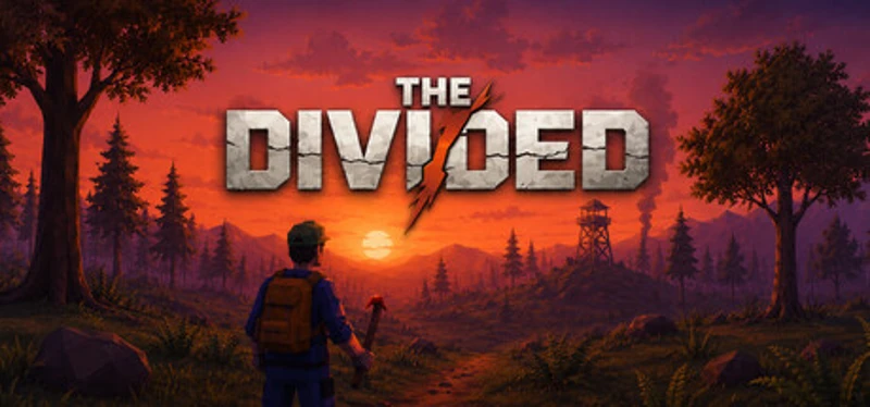 The Divided Image
