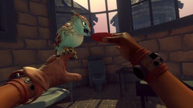 Falcon Age Image