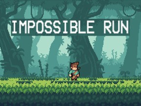 Impossible Run Image