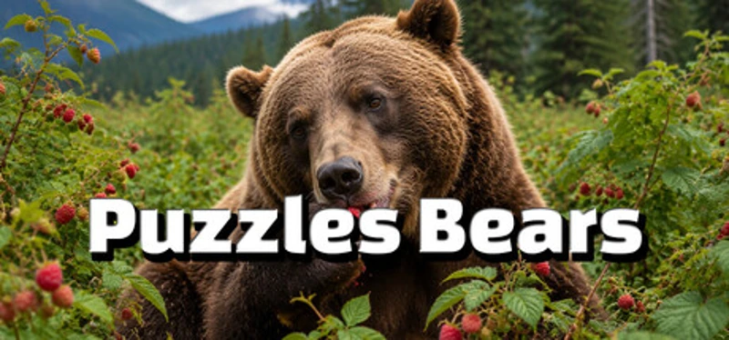 Puzzles Bears Image