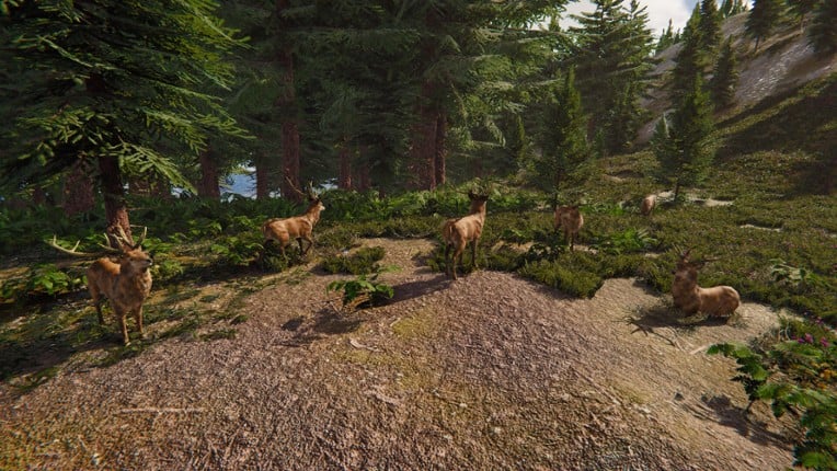 The Lost Hunter screenshot