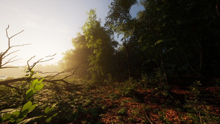 Carpathian Survival screenshot