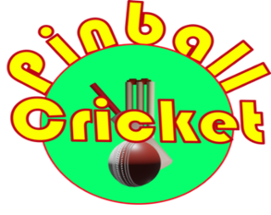 PinBall Cricket Image