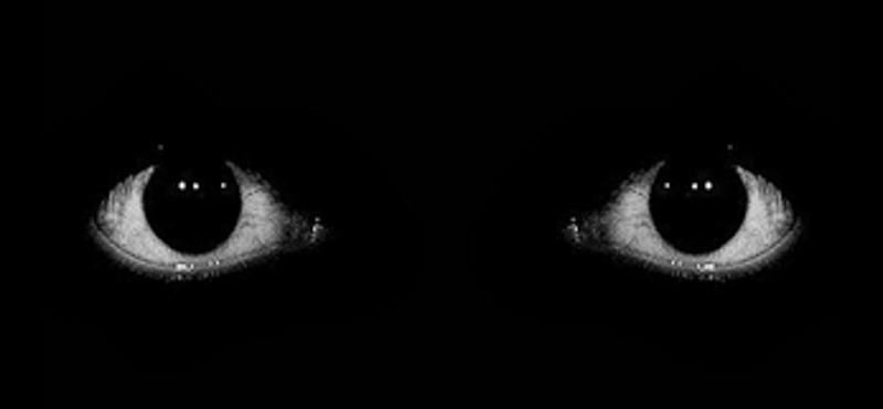 Horror button 4 the beginning of the end Image