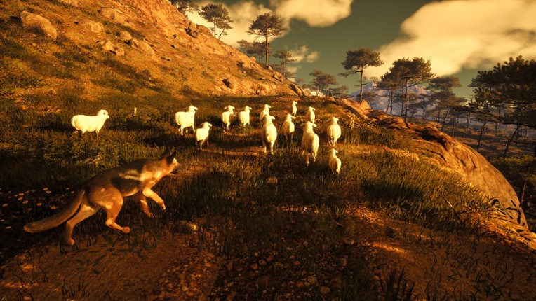 Medieval Shepherd Image