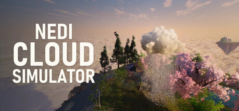 Nedi Cloud Simulator Image