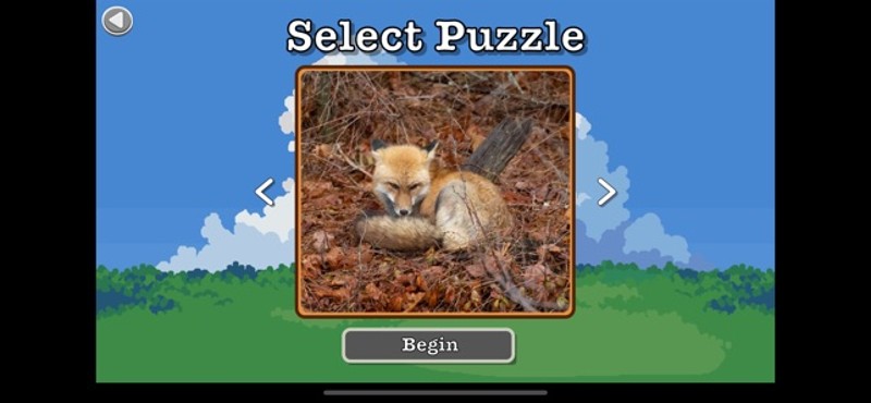 Photo Puzzle Snap Image