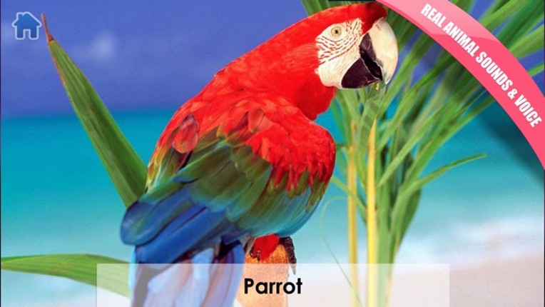 Toddlers Learn! Games For Babies 1-3 years old screenshot