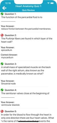 Cardiovascular System Quizzes Image