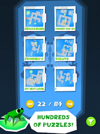 Frog Puzzle Image