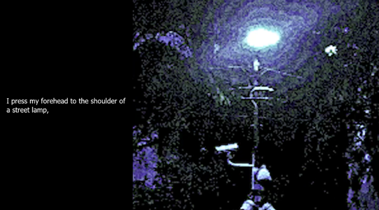 Street Lamp Lover Image