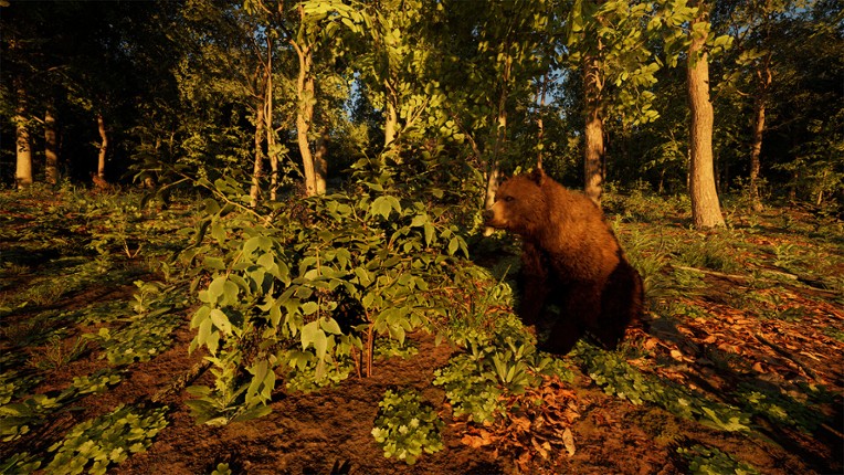 Carpathian Survival screenshot