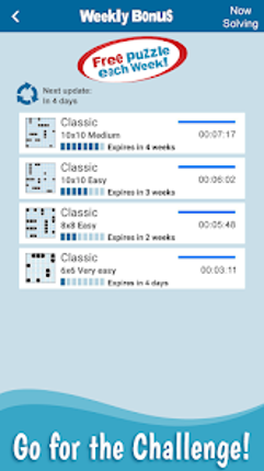 SeaBattle: Warships Puzzle screenshot