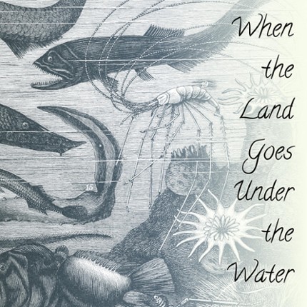 When the Land Goes Under the Water Game Cover