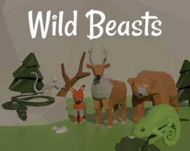 Wild Beasts Image