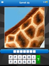 Guess the Close Up - Pics Quiz Image