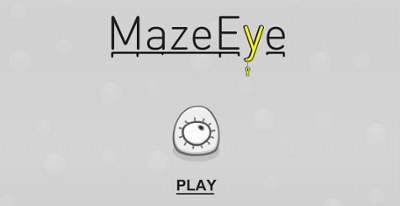 MazeEye Image