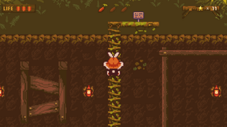 The Lost Forest Image