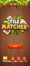 Tile Matcher: Tile Puzzle Game Image