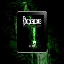 Torches #4 - Waterfalls, Lairs, Fungi & Moisture Image