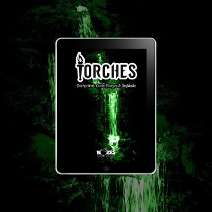 Torches #4 - Waterfalls, Lairs, Fungi & Moisture Image