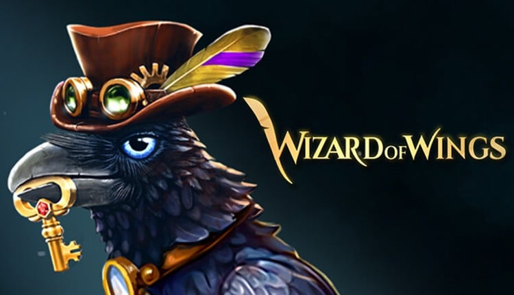 Wizard of Wings: Escape Game Cover