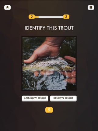 Fly Fishing Quiz Image
