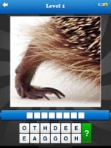 Guess the Close Up - Pics Quiz Image