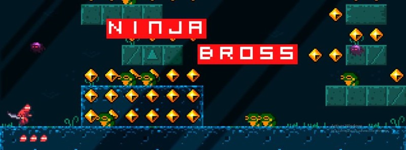 NINJA BROSS Image