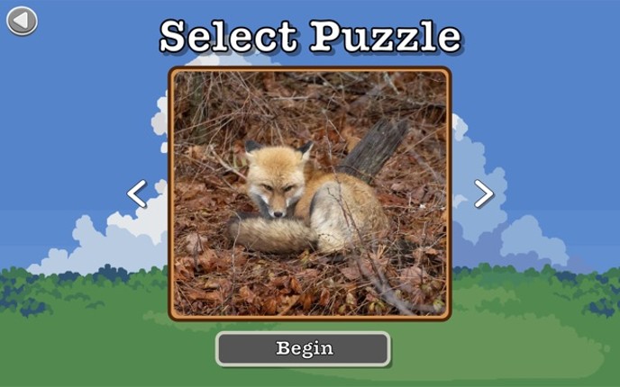 Photo Puzzle Snap screenshot