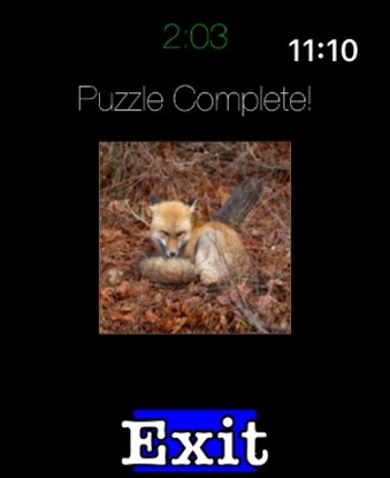 Photo Puzzle Snap Image