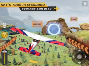 Airplane Pilot Flight: 3D Game Image