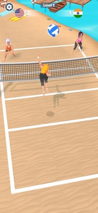 Beach Volleyball: Summer Games Image