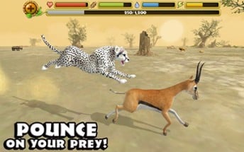 Cheetah Simulator Image