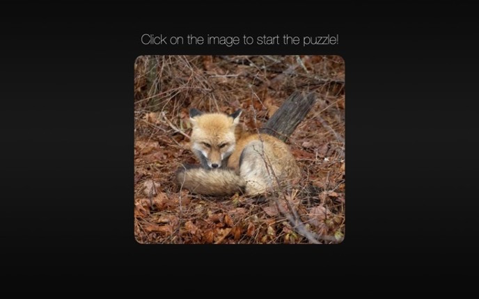 Photo Puzzle Snap screenshot