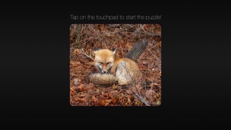 Photo Puzzle Snap screenshot