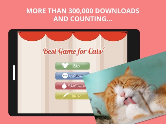 Best Game for Cats screenshot