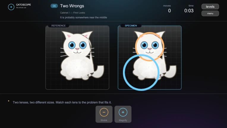 Catoscope Image