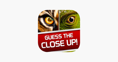 Guess the Close Up - Pics Quiz Image