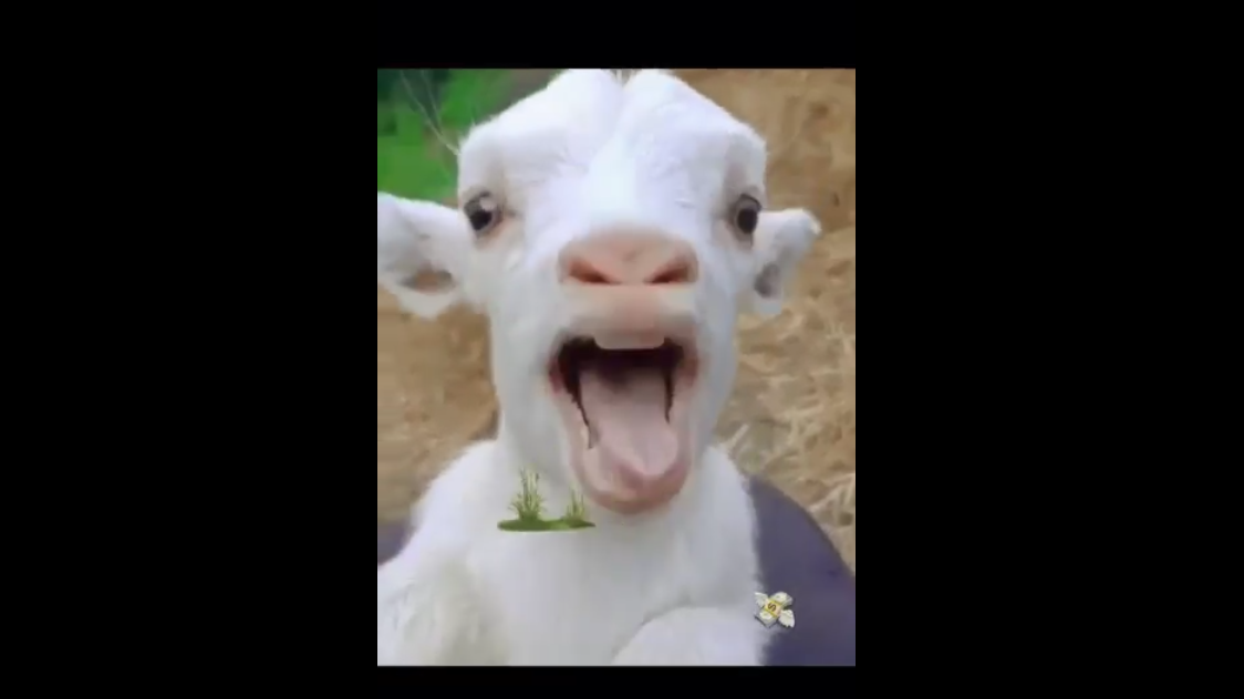 Games like Kill the Butterfly